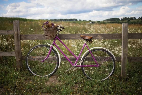 Vintage Bicycle Basket Full Flowers Standing Field — Zdjęcie stockowe