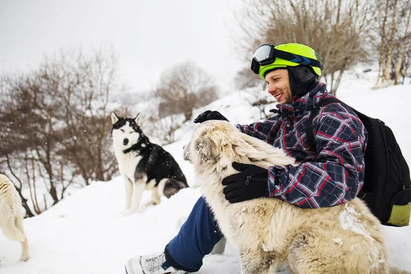 Portrait Skier Mask Helmet Background Snow Capped Mountains Wild Dogs — Stockfoto