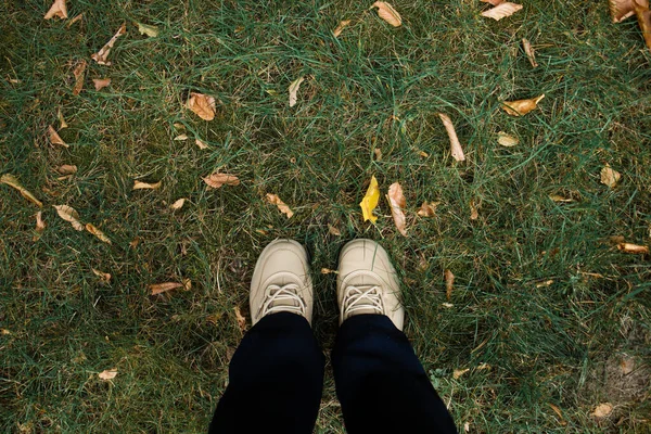 Foot on yellow leaves on grass in autumn park.