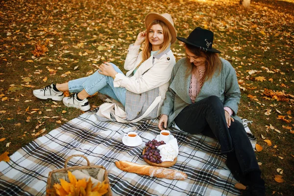 Dvě Přítelkyně Pletených Teplých Svetrech Kabátě Mají Piknik Podzimním Lese — Stock fotografie