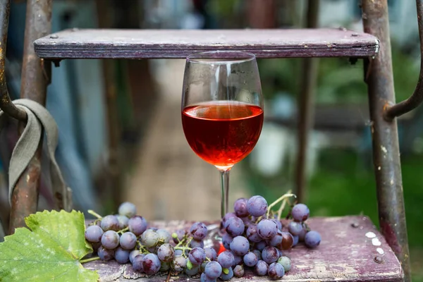 Durgun Hayat Bir Bardak Kırmızı Şaraba Odaklan Organik Tatlı Sulu — Stok fotoğraf
