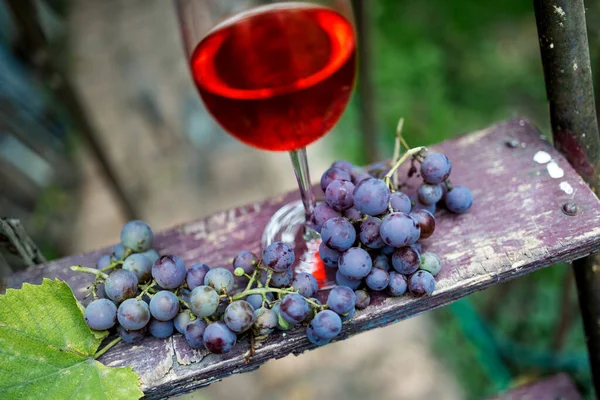 Durgun Hayat Bir Bardak Kırmızı Şaraba Odaklan Organik Tatlı Sulu — Stok fotoğraf