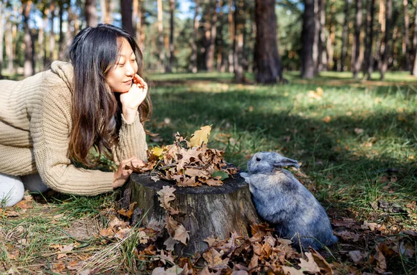 Adorable Jeune Lapin Femme Assis Ensemble Plein Air Dans Forêt — Photo