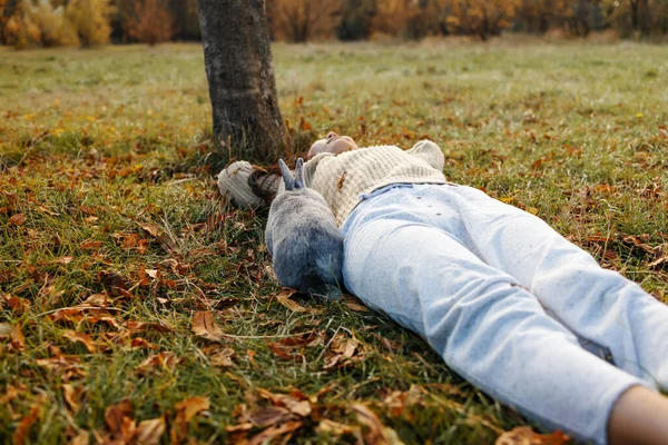 Adorable Jeune Lapin Femme Assis Ensemble Plein Air Dans Forêt — Photo