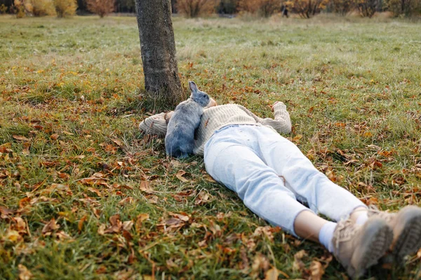 Adorable Jeune Lapin Femme Assis Ensemble Plein Air Dans Forêt — Photo