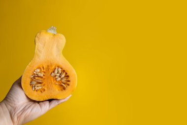 Sarı arka planda taze turuncu balkabağı tutan el..