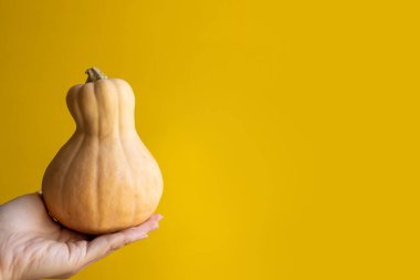 Sarı arka planda taze turuncu balkabağı tutan el..