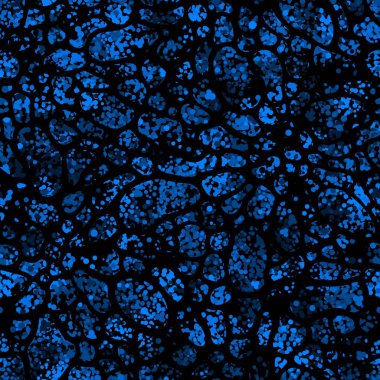 Azure blue cosmic cells. Vector illustration seamless pattern background. Microscope stylized biohazard view. Stylish industrial science design for wrapping paper, decor, wallpaper or textile print