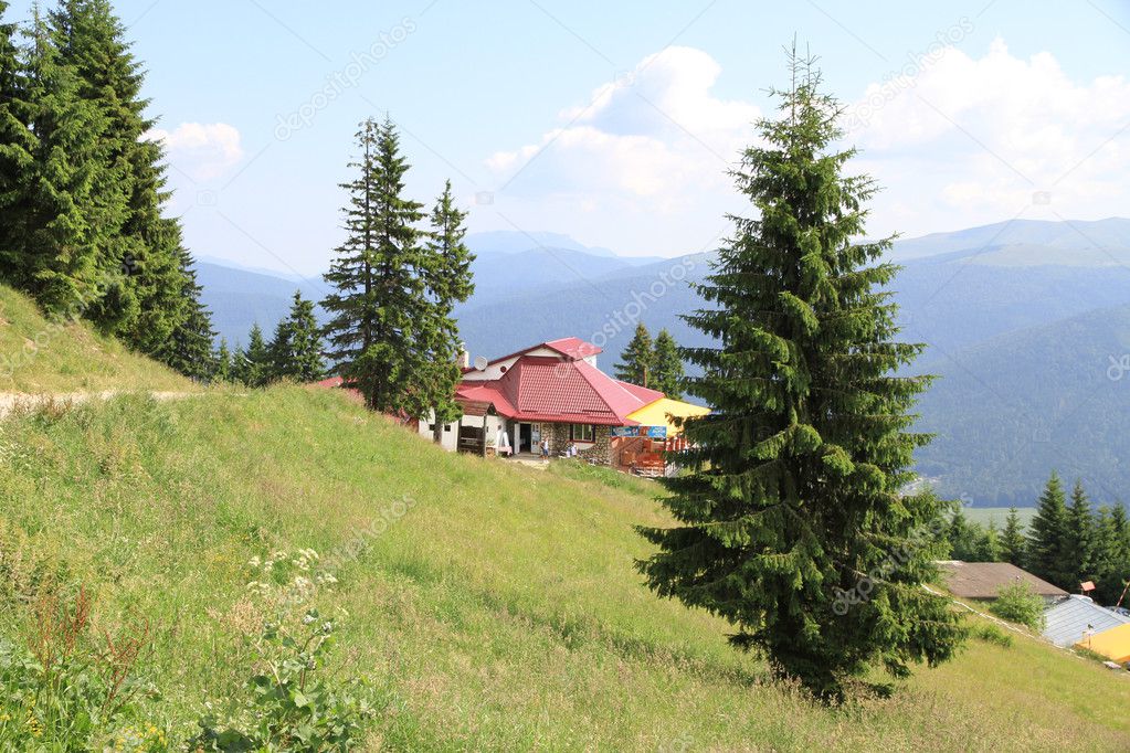 Little House on the hillside and surrounded by pine trees. — Stock