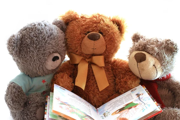 Tres peluche de juguete sosteniendo un libro abierto — Foto de Stock