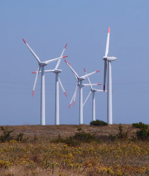 Wind power generators in the Bulgaria — Stock Photo, Image