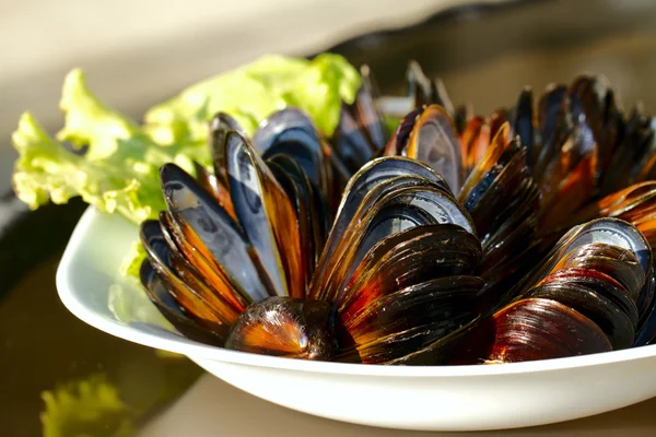 Muscheln auf dem Teller — Stockfoto