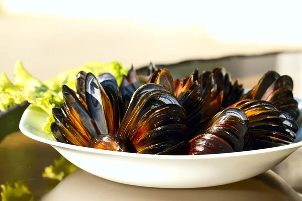 Mussels on the plate — Stock Photo, Image