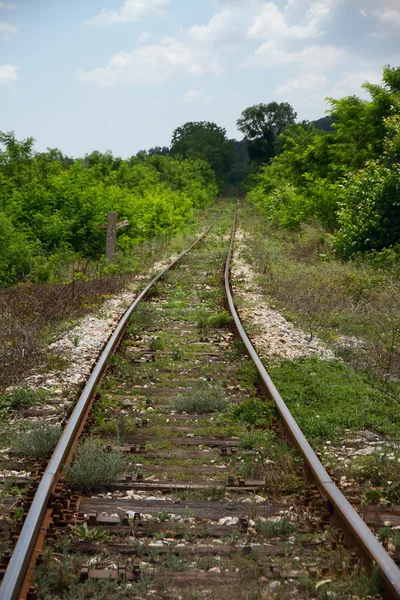 Ferrovia vuota tra alberi ed erba — Foto Stock