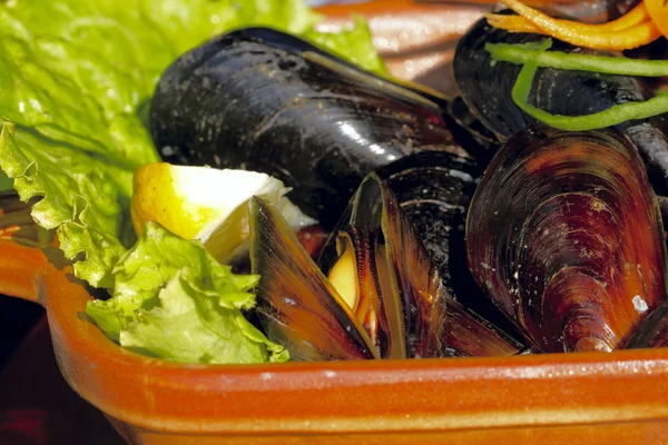 Muscheln auf dem Teller — Stockfoto