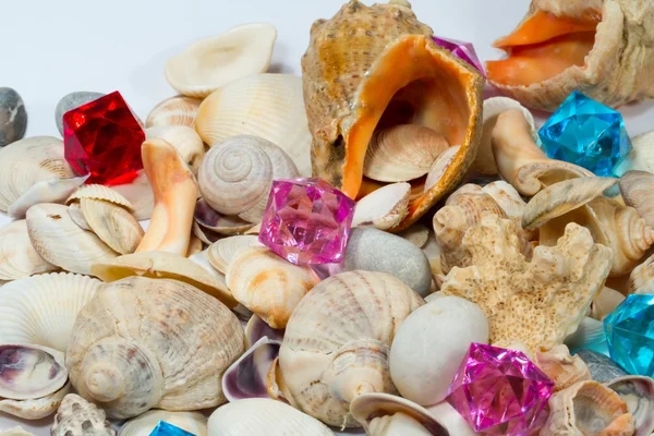 Több különböző kagylók és színes üveg kavics — Stock Fotó
