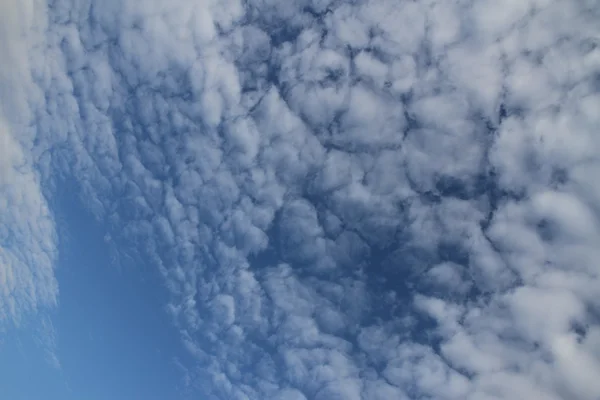 A horizontal shot of bright blue sky with puffy white clouds. — Stock Photo, Image