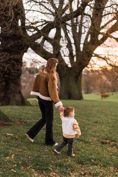Fiatal Anya Sétál Kislányával Zöld Mezőn — Stock Fotó