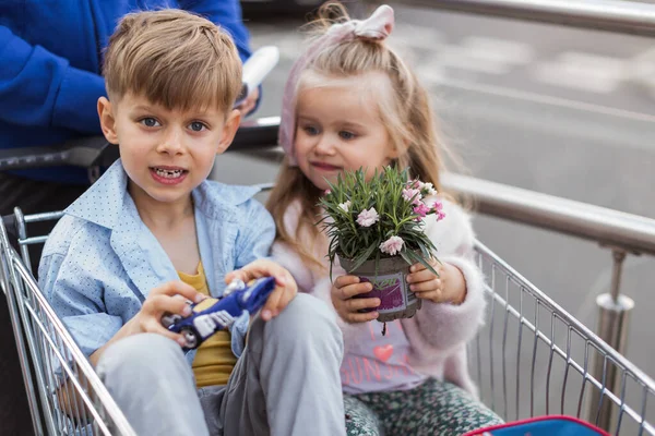 植物のための子供のショッピング 肖像画を閉じます — ストック写真