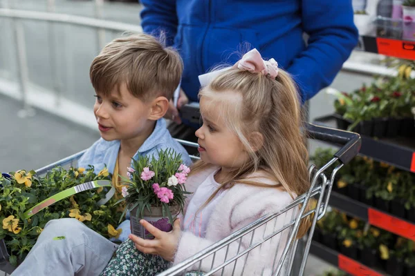 お店のショッピングカートに鉢植えの子供たち — ストック写真