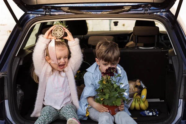 Niño Feliz Comprar Una Planta Flores Para Jardín Sentado — Foto de Stock