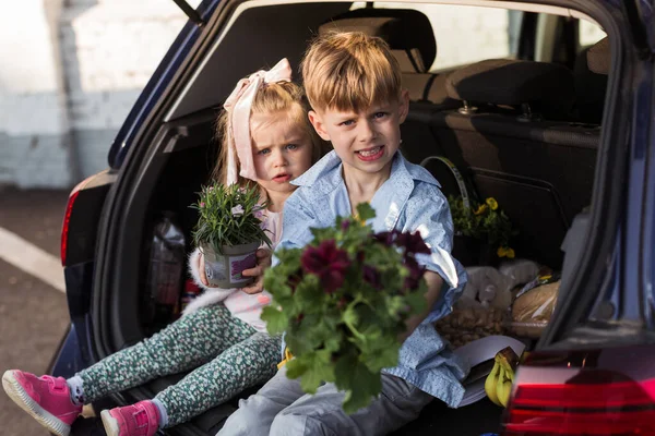 Niño Feliz Comprar Una Planta Flores Para Jardín Sentado — Foto de Stock