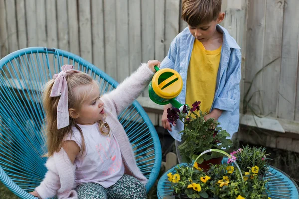 子供たちが地面に植えます 庭で働く姉と弟 — ストック写真