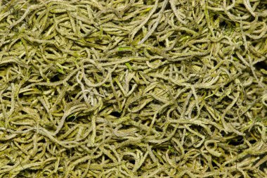 İspanyol Moss (Tillandsia usneoides) tam üstte. Amerika, Meksika ve Queensland Avustralya 'da bulunan tropikal epifit bitki..