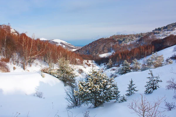 Paysage de montagne hivernal avec arbres gelés — Photo