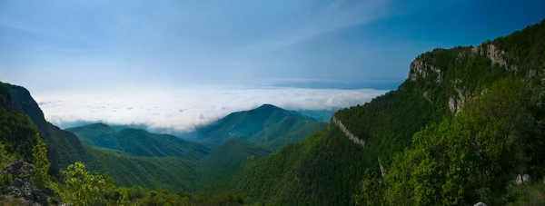 Erdő hegyek panoráma a felhők — Stock Fotó