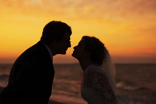 Silueta de recién casados en la playa al amanecer — Foto de Stock