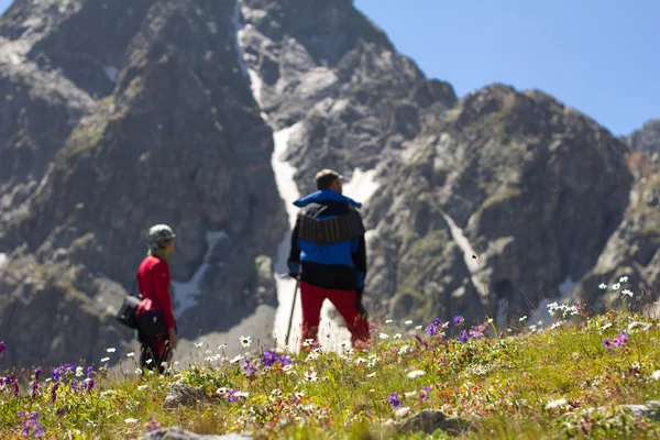 Voyageurs sur un fond de montagnes et de fleurs — Photo