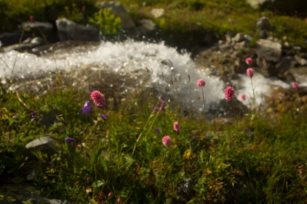 Splashes of water in the river — Stock Photo, Image