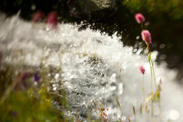 Spruzzi d'acqua nel fiume — Foto Stock