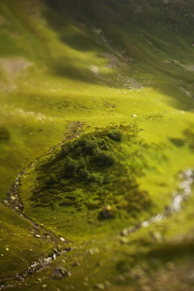 Groene vallei — Stockfoto