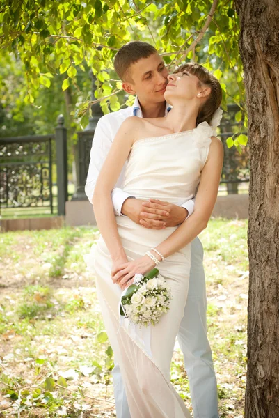 Newlyweds couple in love hugging — Stock Photo, Image