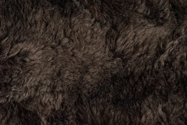 Close-up of brown fur — Stock Photo, Image