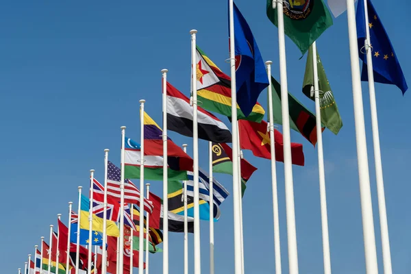 Многие Мировые Флаги Развевающиеся Подряд Пределами Выставочного Центра 2020 Году — стоковое фото