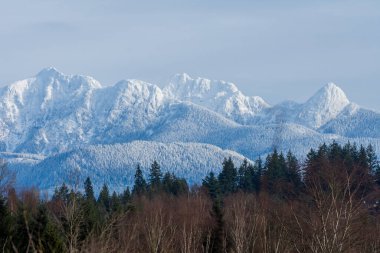 Maple Ridge, Vancouver 'daki Altın Kulak Dağları Kanada kışın manzara fotoğrafları için karla kaplandı.