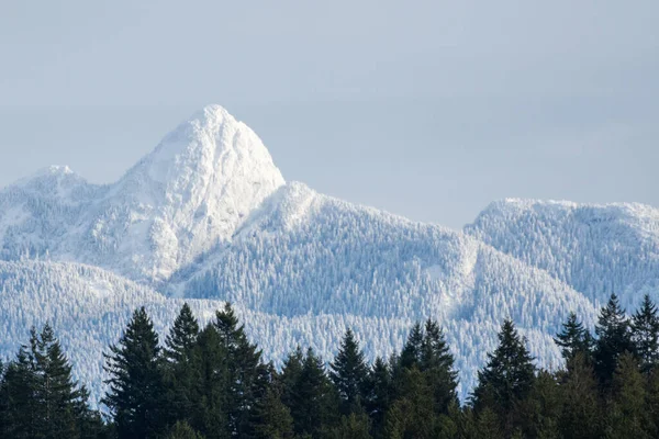 Golden Ears Mountain Range Aus Nächster Nähe Maple Ridge Vancouver — Stockfoto