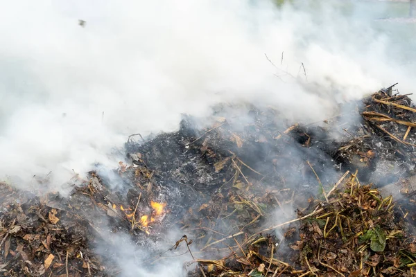 Πυκνός Καπνός Προερχόμενος Από Πυρκαγιά Αγροτική Περιοχή Που Προκαλεί Περιβαλλοντικές — Φωτογραφία Αρχείου