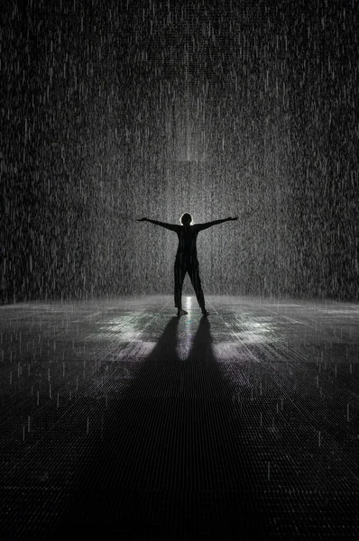 Rain room silhouette in black and white