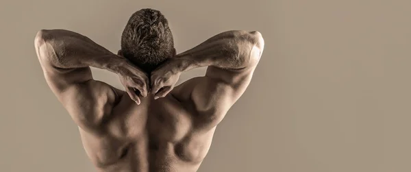 Muskulös rygg, muskulös man, muskulös rygg, naken bål. Man naken, frisk muskulär kille, överkroppen man, isolerad. Man med muskulösa armar, triceps. Midjan, midjan. En kille med vacker överkropp — Stockfoto