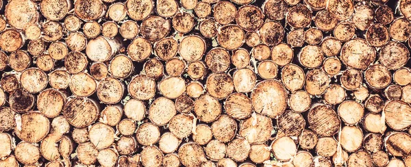 Fondo de los tocones de árboles. Trozos de madera de teca fondo de tocón. Tronco redondo de madera de teca —  Fotos de Stock