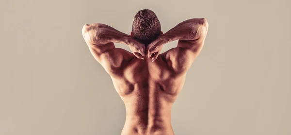 Muskulös rygg, muskulös man, muskulös rygg, naken bål. Man naken, frisk muskulär kille, överkroppen man, isolerad. Man med muskulösa armar, triceps. Midjan, midjan. En kille med vacker överkropp — Stockfoto