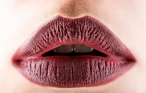 Sexy rty. Hnědý lip. Zblízka se sexy baculatá měkké rty s tmavě hnědou rtěnku. Profesionální make-up rty lesku kosmetického prostředku. Tvář kůži úst dokonalosti bezchybné koncept. Péče o rty a krásy — Stock fotografie