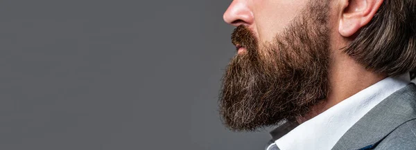 Primer plano de la barba guapo hipster elegante macho. Barba es su estilo. Un hombre barbudo de cerca. Una barba perfecta. Primer plano del joven barbudo —  Fotos de Stock