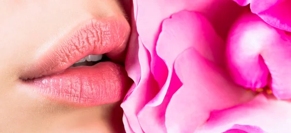 Nahaufnahme weiblicher Lippen mit rosa Blume. Nahaufnahme sexy weibliche Lippe mit rotem Lippenstift. Frauenlippen und rote Blume. Sinnliche Lippen. Frau mit Rosenblüte. Nahaufnahme sexy weibliche Lippen mit rosa — Stockfoto