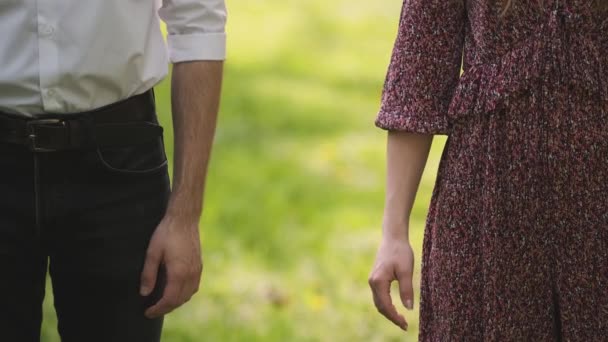 Festhalten, Hände, Paar. Paar hält sich am Sonnentag an den Händen. Paar hält Hand in Hand im Park. Koppelnde Hand. Junges verliebtes Paar geht Händchen haltend durch den Park — Stockvideo