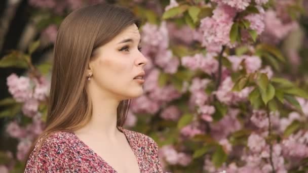 Allergy, sneezing, spring. Woman sneezing in front of blooming tree. Spring allergy concept. Sneezing young girl with nose wiper among blooming trees in park. Pollen allergy, girl sneezing — ストック動画